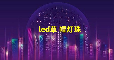 led草 帽灯珠